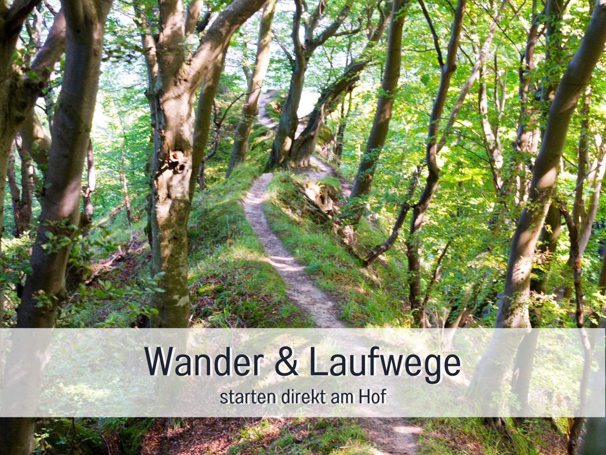 Steinberg  Ferienloft Sternenblick - Strandnah, Haustierfreundlich, Tolle Kueche, Optimal Fuer Workation, 4 Personen מראה חיצוני תמונה