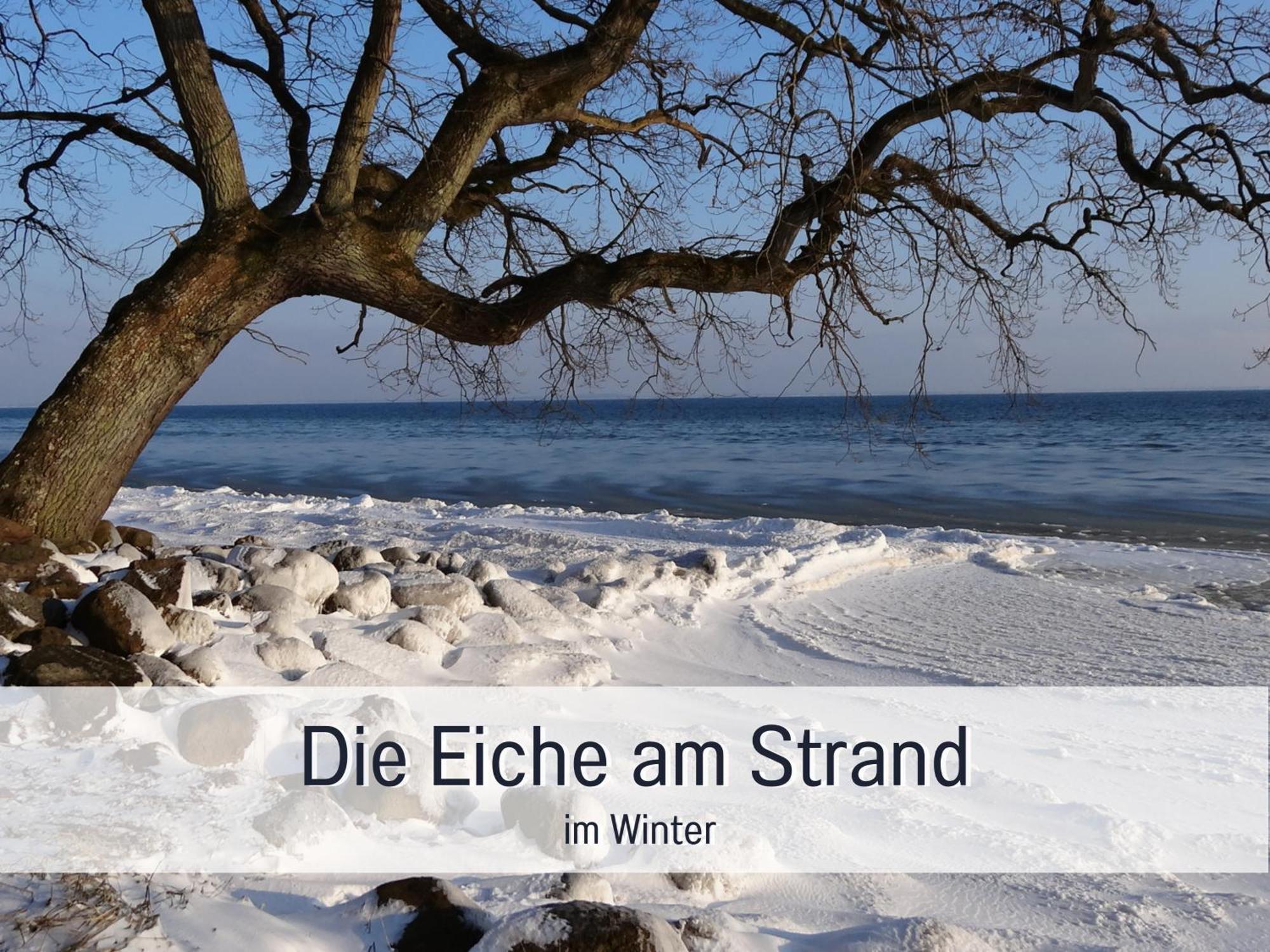 Steinberg  Ferienloft Sternenblick - Strandnah, Haustierfreundlich, Tolle Kueche, Optimal Fuer Workation, 4 Personen מראה חיצוני תמונה