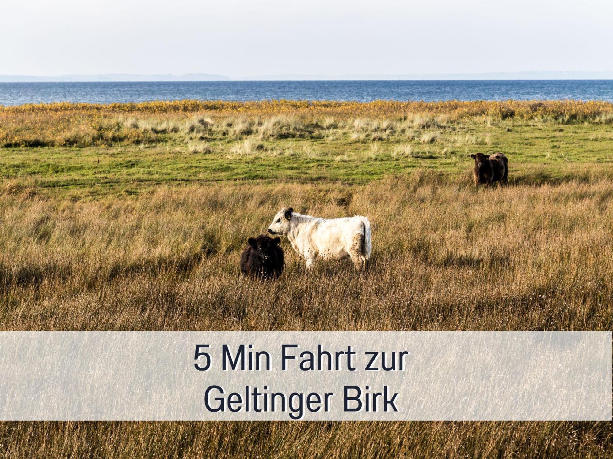 Steinberg  Ferienloft Sternenblick - Strandnah, Haustierfreundlich, Tolle Kueche, Optimal Fuer Workation, 4 Personen מראה חיצוני תמונה